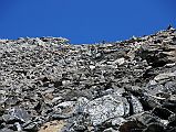 Gokyo 6 Knobby View 2 Boulder Path At Top Of Knobby View I climbed Knobby View for 100 minutes, but I stopped short of the summit because I did not want to risk hopping the giant boulder field.